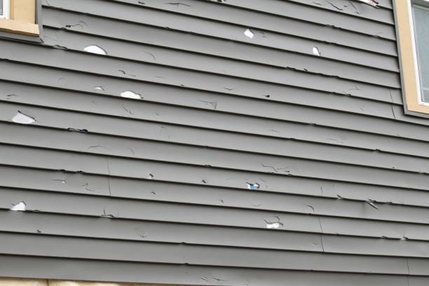 Best Recycling Services for Junk  in Walnut Creek, CA