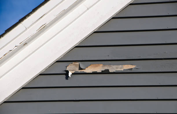 Shed Removal in Walnut Creek, CA